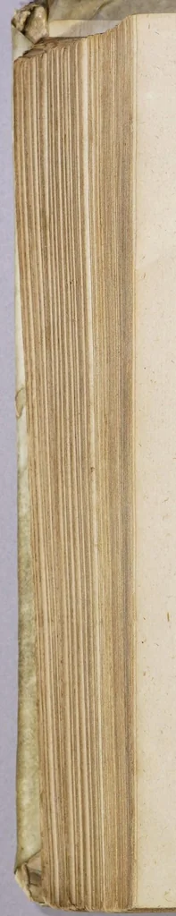 An illustration from Korte, beknopte, en nette beschryving, van de koningrijken Hungarien, Dalmatien, en Morea. : Mitsgaders de vorstendommen Zeevenbergen, Walachien, Moldavien, Bulgarien &c. En der zelver vestingen en steeden. Nevens een omstandig verhaal; van het geene, dat omtrent, en zedert de verovering van offen, door der Christenden Wapenen is ingenomen, 1687, leaf 202