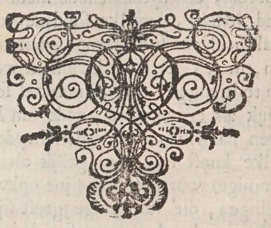 An illustration from Korte besgryving van het Lugdunum Batavorum nu Leyden : vervatende een verhaal van haar grond-stand, oudheid, opkomst, voort-gang, ende stads-bestier : sampt het graven van den ouden ende niewen Rijn, met de oude ende niewe uytwateringen van de selve, 1672, leaf 246