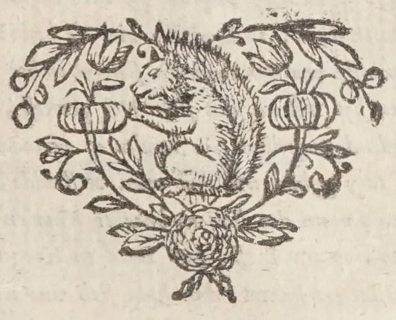An illustration from Korte besgryving van het Lugdunum Batavorum nu Leyden : vervatende een verhaal van haar grond-stand, oudheid, opkomst, voort-gang, ende stads-bestier : sampt het graven van den ouden ende niewen Rijn, met de oude ende niewe uytwateringen van de selve, 1672, leaf 649