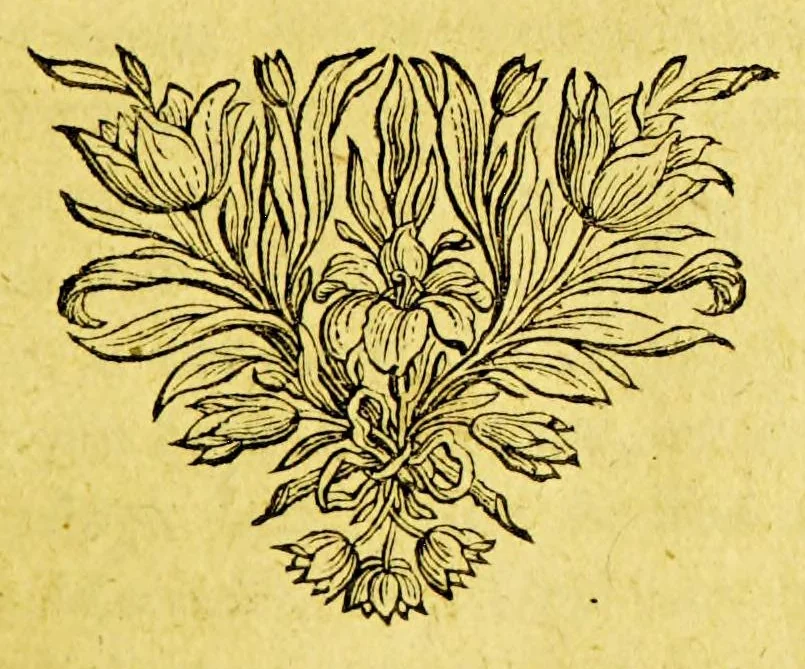 An illustration from Korte en klare beschryvingh van Yslandt en Groenlandt. : Daer in naecktelijck d'ontdeckingh van Yslandt en Groenlandt, de godtsdienst, 't leven en de zeden der inwoonders, de vreemdigheden, en de wetten en rechten van 't landt vertoont worden., 1692, leaf 5