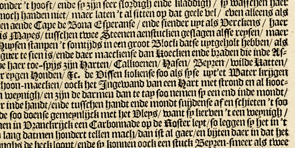 An illustration from Korte historiael, ende journaels aenteyckeninge, van verscheyden voyagiens in de vier deelen des wereldts-ronde, : als Europa, Africa, Asia, ende Amerika gedaen,, 1655, leaf 173