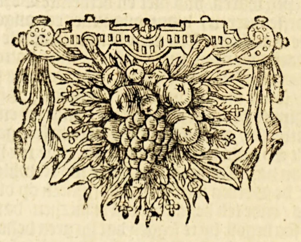 An illustration from Korte historiael, ende journaels aenteyckeninge, van verscheyden voyagiens in de vier deelen des wereldts-ronde, : als Europa, Africa, Asia, ende Amerika gedaen,, 1655, leaf 208