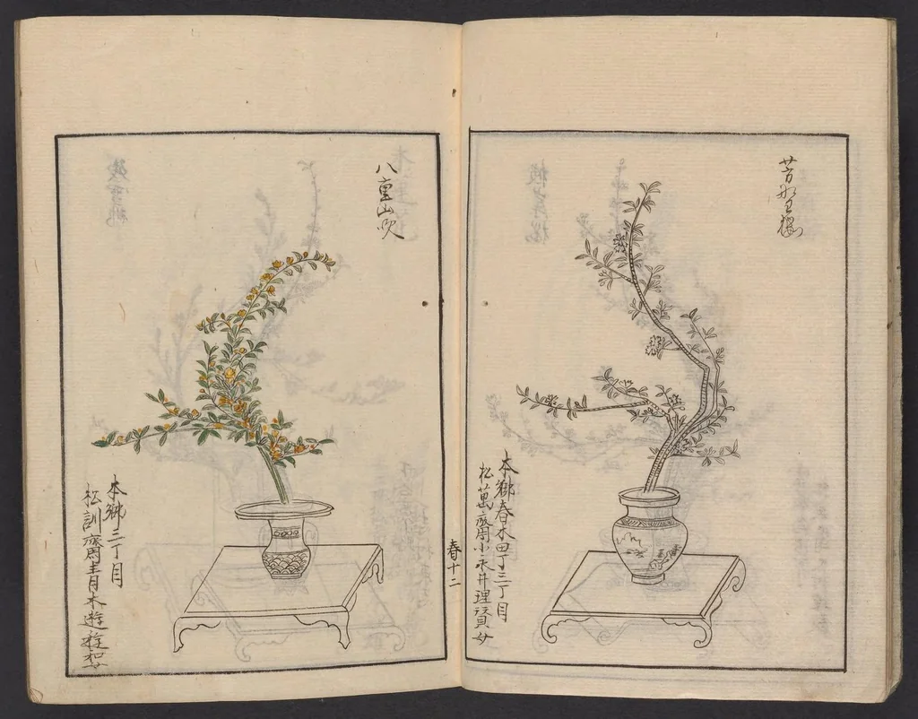 An illustration from [Koryū ikebana saizu], 1834, leaf 12