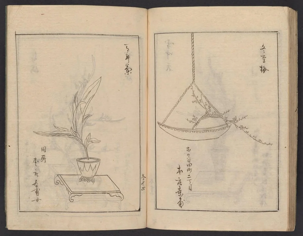 An illustration from [Koryū ikebana saizu], 1834, leaf 65