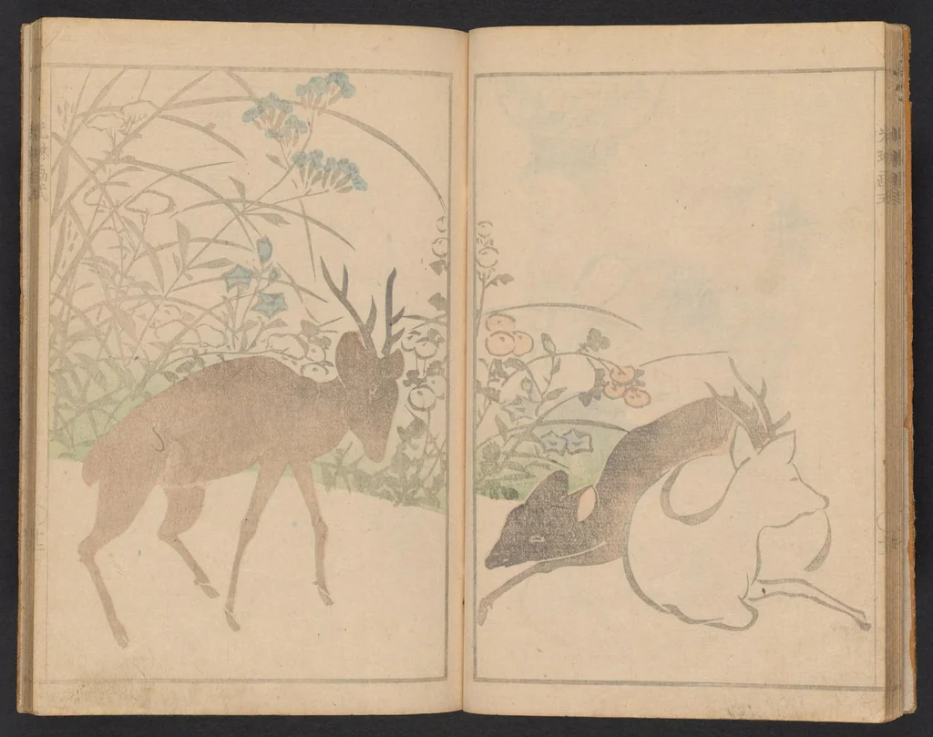 An illustration from Kōrin gashiki : zen, 1818, leaf 14