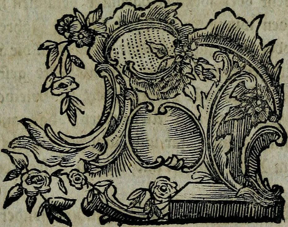 An illustration from Köremons Ehrenmitgliedes der Akademie von St. Lucas in Rom, auch verschiedener andrer Akademien in Italien und Deutschland, Natur und Kunst in Gemälden, Bildhauereyen, Gebäuden und Kupferstichen : zum Unterricht der Schüler, und Vergnüngen der Kenner, 1770, leaf 1000