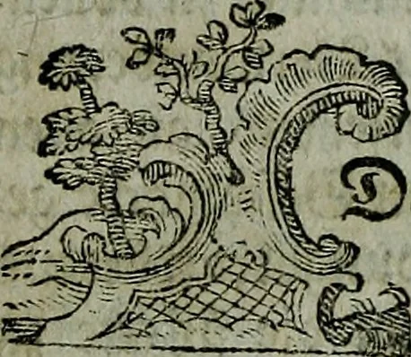 An illustration from Köremons Ehrenmitgliedes der Akademie von St. Lucas in Rom, auch verschiedener andrer Akademien in Italien und Deutschland, Natur und Kunst in Gemälden, Bildhauereyen, Gebäuden und Kupferstichen : zum Unterricht der Schüler, und Vergnüngen der Kenner, 1770, leaf 22
