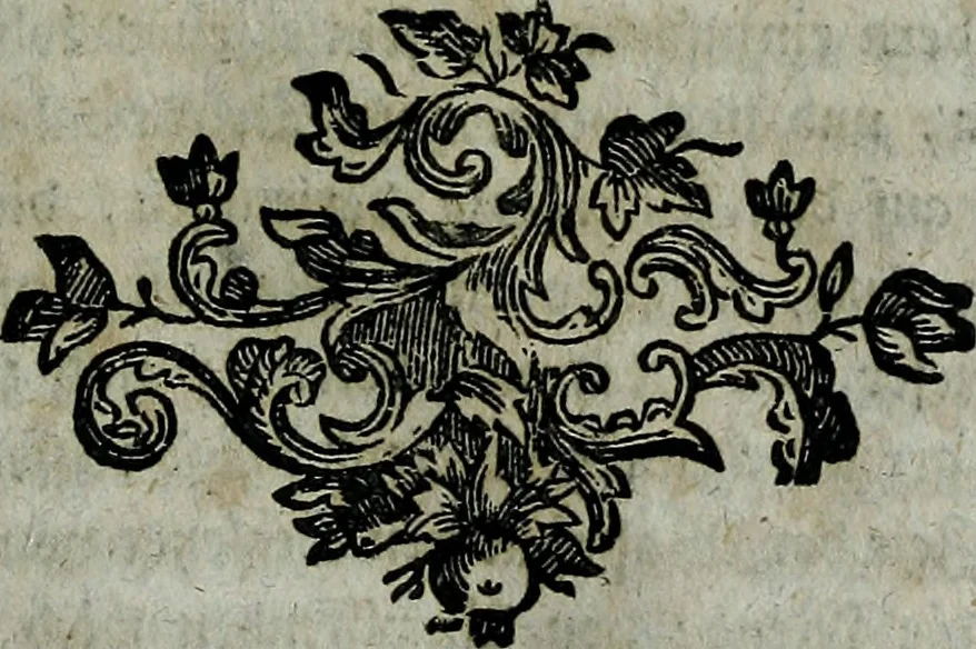 An illustration from Köremons Ehrenmitgliedes der Akademie von St. Lucas in Rom, auch verschiedener andrer Akademien in Italien und Deutschland, Natur und Kunst in Gemälden, Bildhauereyen, Gebäuden und Kupferstichen : zum Unterricht der Schüler, und Vergnüngen der Kenner, 1770, leaf 222