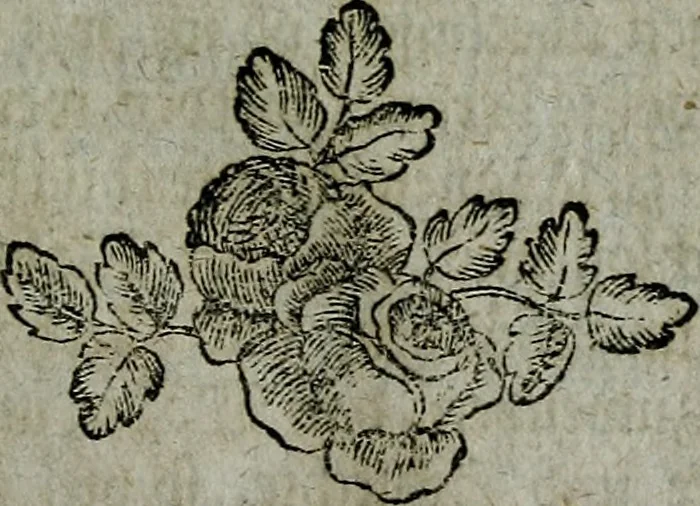 An illustration from Köremons Ehrenmitgliedes der Akademie von St. Lucas in Rom, auch verschiedener andrer Akademien in Italien und Deutschland, Natur und Kunst in Gemälden, Bildhauereyen, Gebäuden und Kupferstichen : zum Unterricht der Schüler, und Vergnüngen der Kenner, 1770, leaf 38
