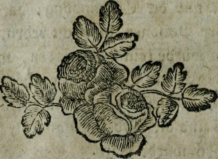 An illustration from Köremons Ehrenmitgliedes der Akademie von St. Lucas in Rom, auch verschiedener andrer Akademien in Italien und Deutschland, Natur und Kunst in Gemälden, Bildhauereyen, Gebäuden und Kupferstichen : zum Unterricht der Schüler, und Vergnüngen der Kenner, 1770, leaf 393