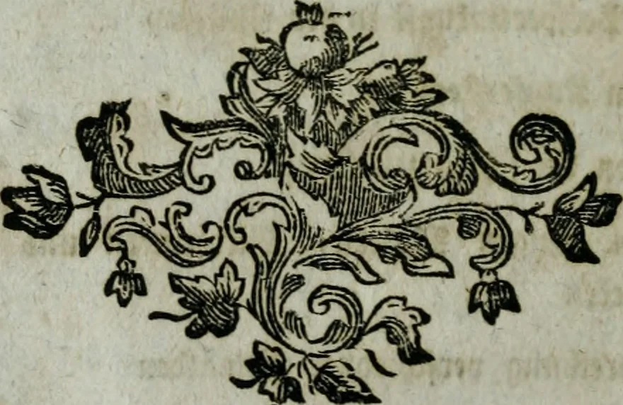 An illustration from Köremons Ehrenmitgliedes der Akademie von St. Lucas in Rom, auch verschiedener andrer Akademien in Italien und Deutschland, Natur und Kunst in Gemälden, Bildhauereyen, Gebäuden und Kupferstichen : zum Unterricht der Schüler, und Vergnüngen der Kenner, 1770, leaf 495