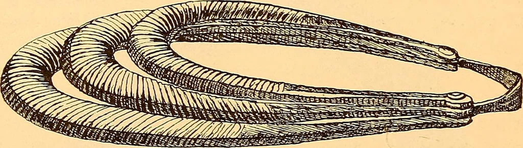 An illustration from Körperpflege und Kleidung bei den Deutschen von den ältesten geschichtlichen Zeiten bis zum 16. Jahrhundert, 1903, leaf 351