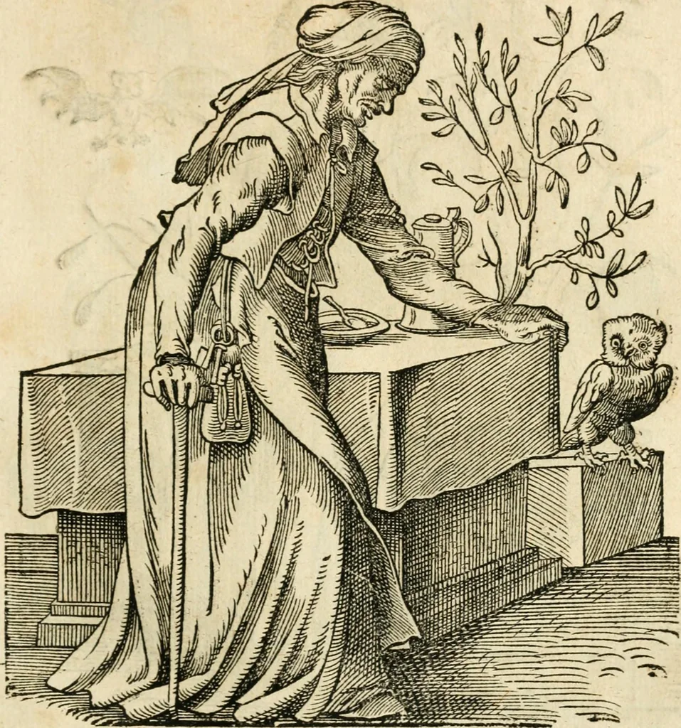 An illustration from Kunstbüchlin : Darinnen neben Fürbildung vieler, geistlicher vnnd weltlicher, hohes vnd niderstands Personen, so dann auch der Türkischen Käyser derselben obersten allerhandt kunstreiche Stück vnnd Figuren : auch die sieben Planeten, zehen alter Rittmeister vnnd Befelchshaber, Reutern vnd Contrafactur der Pferde, allerlen Thurnier, Fechten vnd dann erliche Helm vnd Helmdecken begriffen : Alles auff das zierlicht vnd künstlichst gerissen, 1599, leaf 148