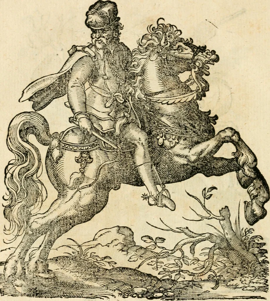 An illustration from Kunstbüchlin : Darinnen neben Fürbildung vieler, geistlicher vnnd weltlicher, hohes vnd niderstands Personen, so dann auch der Türkischen Käyser derselben obersten allerhandt kunstreiche Stück vnnd Figuren : auch die sieben Planeten, zehen alter Rittmeister vnnd Befelchshaber, Reutern vnd Contrafactur der Pferde, allerlen Thurnier, Fechten vnd dann erliche Helm vnd Helmdecken begriffen : Alles auff das zierlicht vnd künstlichst gerissen, 1599, leaf 151