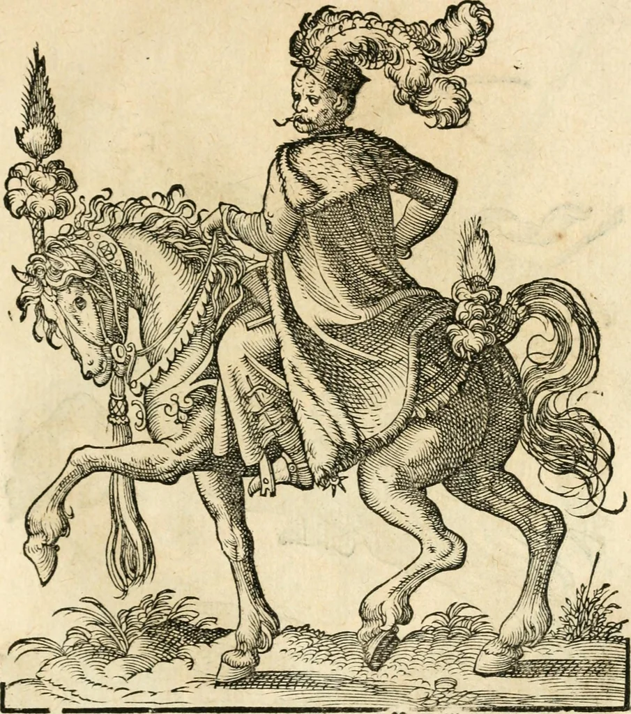 An illustration from Kunstbüchlin : Darinnen neben Fürbildung vieler, geistlicher vnnd weltlicher, hohes vnd niderstands Personen, so dann auch der Türkischen Käyser derselben obersten allerhandt kunstreiche Stück vnnd Figuren : auch die sieben Planeten, zehen alter Rittmeister vnnd Befelchshaber, Reutern vnd Contrafactur der Pferde, allerlen Thurnier, Fechten vnd dann erliche Helm vnd Helmdecken begriffen : Alles auff das zierlicht vnd künstlichst gerissen, 1599, leaf 178