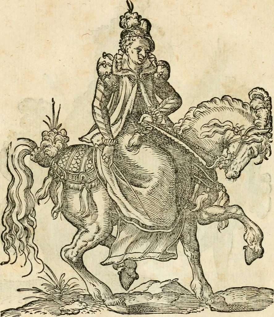 An illustration from Kunstbüchlin : Darinnen neben Fürbildung vieler, geistlicher vnnd weltlicher, hohes vnd niderstands Personen, so dann auch der Türkischen Käyser derselben obersten allerhandt kunstreiche Stück vnnd Figuren : auch die sieben Planeten, zehen alter Rittmeister vnnd Befelchshaber, Reutern vnd Contrafactur der Pferde, allerlen Thurnier, Fechten vnd dann erliche Helm vnd Helmdecken begriffen : Alles auff das zierlicht vnd künstlichst gerissen, 1599, leaf 205
