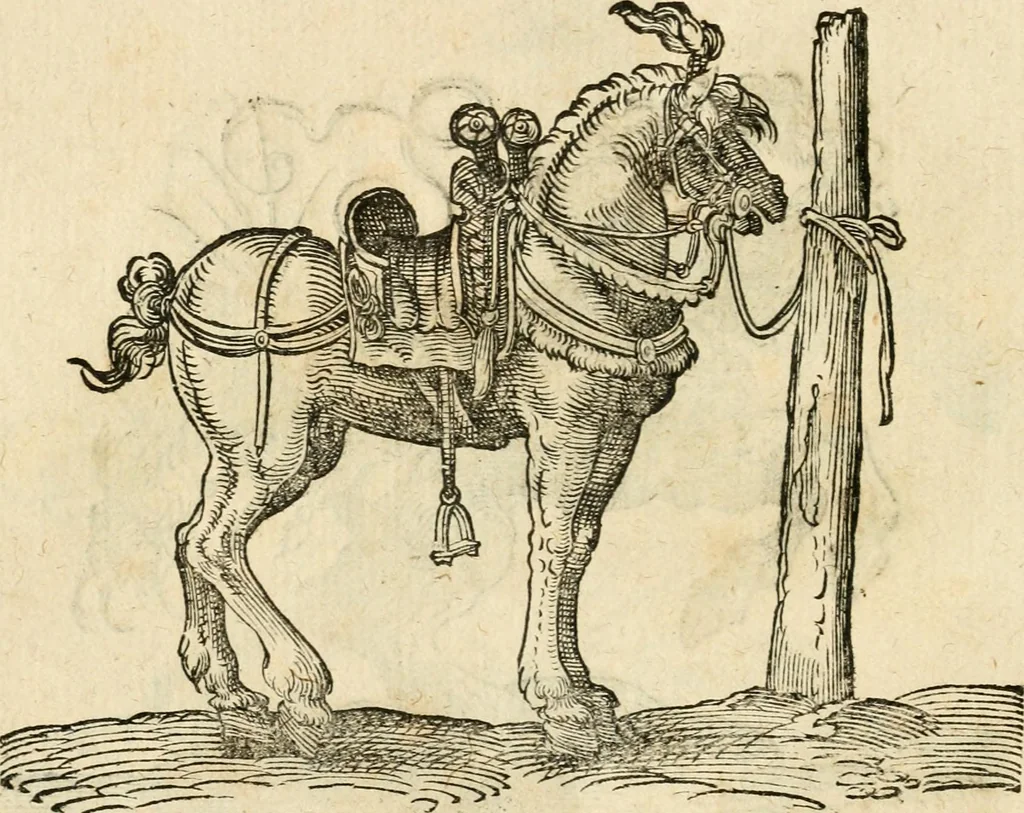 An illustration from Kunstbüchlin : Darinnen neben Fürbildung vieler, geistlicher vnnd weltlicher, hohes vnd niderstands Personen, so dann auch der Türkischen Käyser derselben obersten allerhandt kunstreiche Stück vnnd Figuren : auch die sieben Planeten, zehen alter Rittmeister vnnd Befelchshaber, Reutern vnd Contrafactur der Pferde, allerlen Thurnier, Fechten vnd dann erliche Helm vnd Helmdecken begriffen : Alles auff das zierlicht vnd künstlichst gerissen, 1599, leaf 217