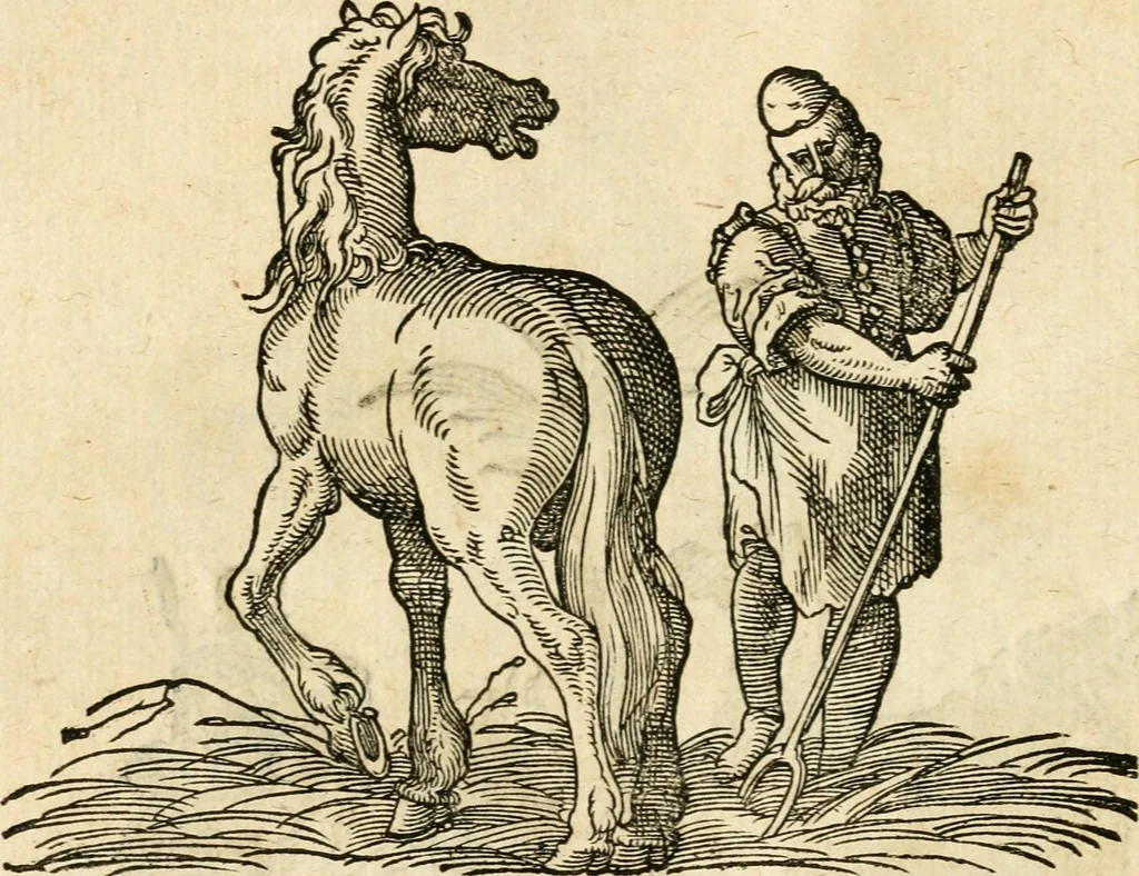 An illustration from Kunstbüchlin : Darinnen neben Fürbildung vieler, geistlicher vnnd weltlicher, hohes vnd niderstands Personen, so dann auch der Türkischen Käyser derselben obersten allerhandt kunstreiche Stück vnnd Figuren : auch die sieben Planeten, zehen alter Rittmeister vnnd Befelchshaber, Reutern vnd Contrafactur der Pferde, allerlen Thurnier, Fechten vnd dann erliche Helm vnd Helmdecken begriffen : Alles auff das zierlicht vnd künstlichst gerissen, 1599, leaf 223