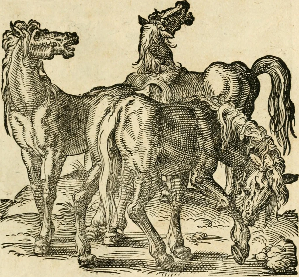 An illustration from Kunstbüchlin : Darinnen neben Fürbildung vieler, geistlicher vnnd weltlicher, hohes vnd niderstands Personen, so dann auch der Türkischen Käyser derselben obersten allerhandt kunstreiche Stück vnnd Figuren : auch die sieben Planeten, zehen alter Rittmeister vnnd Befelchshaber, Reutern vnd Contrafactur der Pferde, allerlen Thurnier, Fechten vnd dann erliche Helm vnd Helmdecken begriffen : Alles auff das zierlicht vnd künstlichst gerissen, 1599, leaf 226