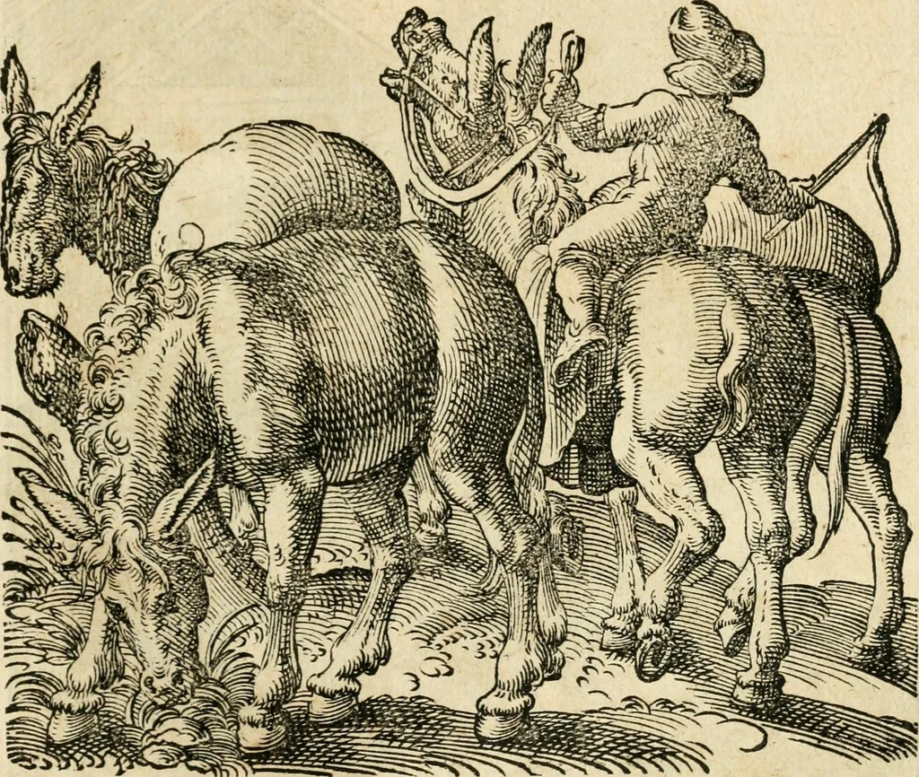 An illustration from Kunstbüchlin : Darinnen neben Fürbildung vieler, geistlicher vnnd weltlicher, hohes vnd niderstands Personen, so dann auch der Türkischen Käyser derselben obersten allerhandt kunstreiche Stück vnnd Figuren : auch die sieben Planeten, zehen alter Rittmeister vnnd Befelchshaber, Reutern vnd Contrafactur der Pferde, allerlen Thurnier, Fechten vnd dann erliche Helm vnd Helmdecken begriffen : Alles auff das zierlicht vnd künstlichst gerissen, 1599, leaf 228
