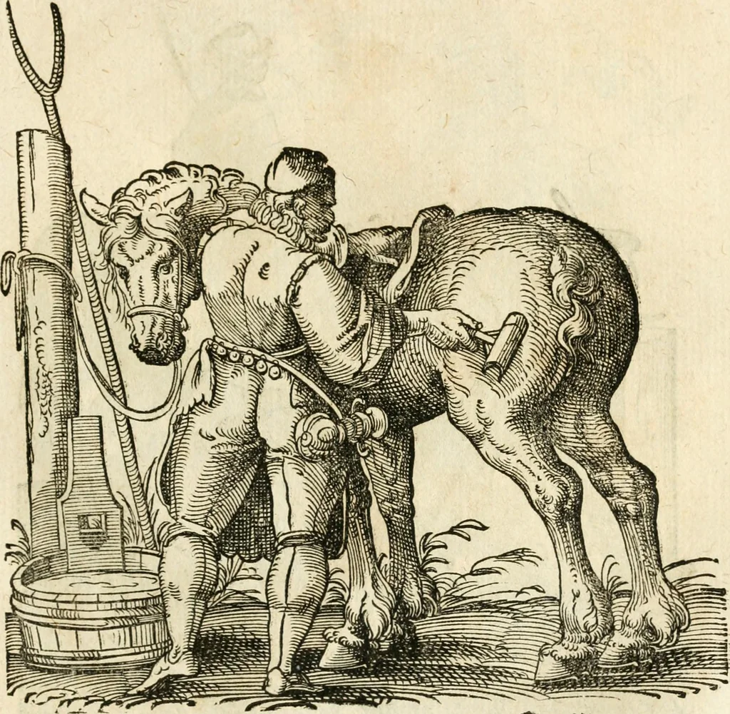 An illustration from Kunstbüchlin : Darinnen neben Fürbildung vieler, geistlicher vnnd weltlicher, hohes vnd niderstands Personen, so dann auch der Türkischen Käyser derselben obersten allerhandt kunstreiche Stück vnnd Figuren : auch die sieben Planeten, zehen alter Rittmeister vnnd Befelchshaber, Reutern vnd Contrafactur der Pferde, allerlen Thurnier, Fechten vnd dann erliche Helm vnd Helmdecken begriffen : Alles auff das zierlicht vnd künstlichst gerissen, 1599, leaf 232
