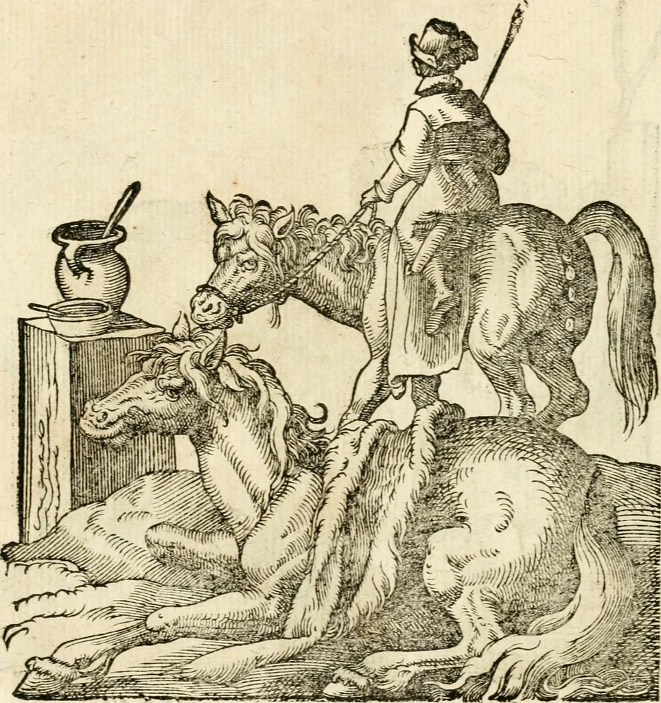 An illustration from Kunstbüchlin : Darinnen neben Fürbildung vieler, geistlicher vnnd weltlicher, hohes vnd niderstands Personen, so dann auch der Türkischen Käyser derselben obersten allerhandt kunstreiche Stück vnnd Figuren : auch die sieben Planeten, zehen alter Rittmeister vnnd Befelchshaber, Reutern vnd Contrafactur der Pferde, allerlen Thurnier, Fechten vnd dann erliche Helm vnd Helmdecken begriffen : Alles auff das zierlicht vnd künstlichst gerissen, 1599, leaf 233