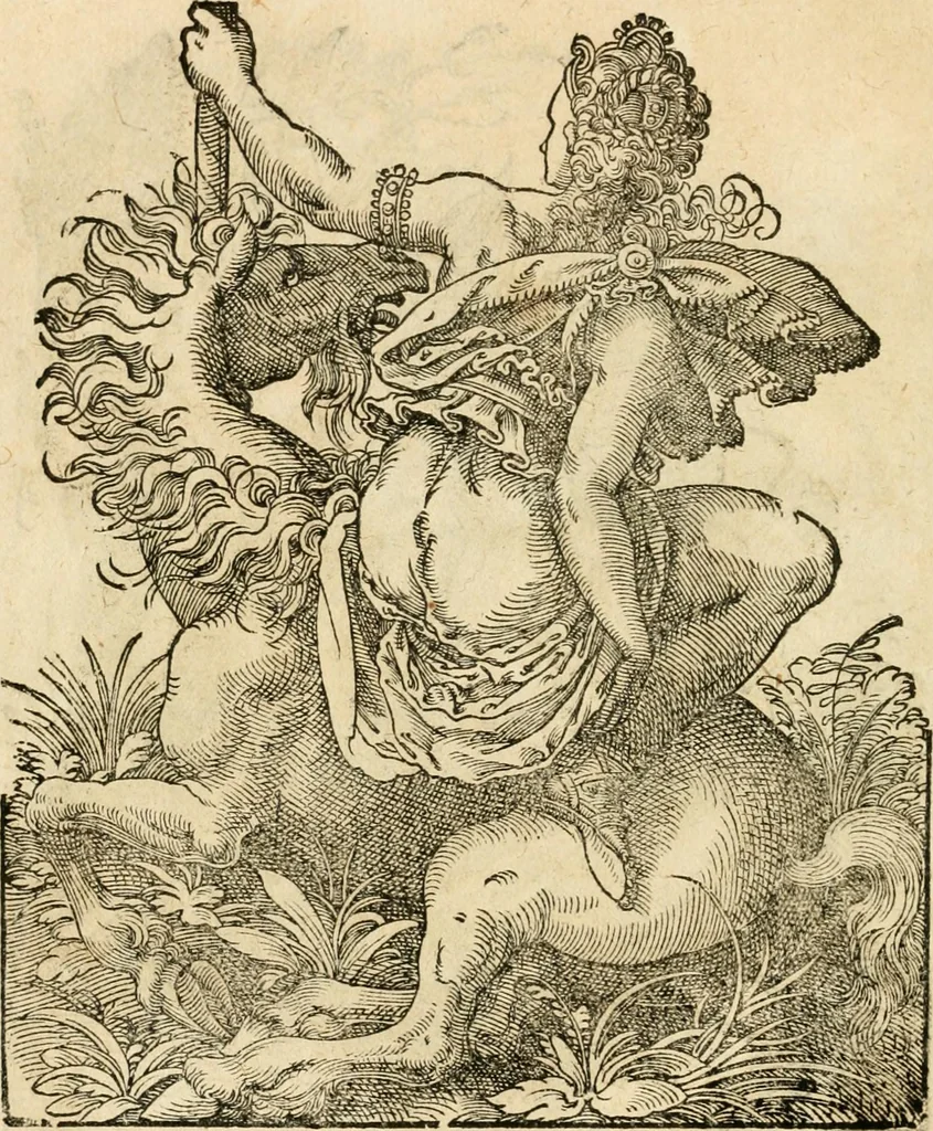 An illustration from Kunstbüchlin : Darinnen neben Fürbildung vieler, geistlicher vnnd weltlicher, hohes vnd niderstands Personen, so dann auch der Türkischen Käyser derselben obersten allerhandt kunstreiche Stück vnnd Figuren : auch die sieben Planeten, zehen alter Rittmeister vnnd Befelchshaber, Reutern vnd Contrafactur der Pferde, allerlen Thurnier, Fechten vnd dann erliche Helm vnd Helmdecken begriffen : Alles auff das zierlicht vnd künstlichst gerissen, 1599, leaf 29