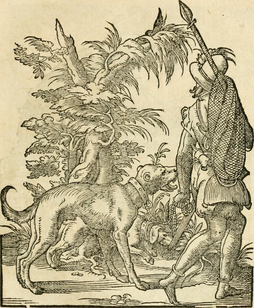 An illustration from Kunstbüchlin : Darinnen neben Fürbildung vieler, geistlicher vnnd weltlicher, hohes vnd niderstands Personen, so dann auch der Türkischen Käyser derselben obersten allerhandt kunstreiche Stück vnnd Figuren : auch die sieben Planeten, zehen alter Rittmeister vnnd Befelchshaber, Reutern vnd Contrafactur der Pferde, allerlen Thurnier, Fechten vnd dann erliche Helm vnd Helmdecken begriffen : Alles auff das zierlicht vnd künstlichst gerissen, 1599, leaf 36