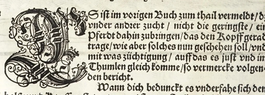 An illustration from Künstlicher Bericht vnd allerzierlichste Beschreybung des edlen, vhesten, vnnd hochberümbten Ehrn Friderici Grisonis Neapolitanischen hochlöblichen Adels : wie die streitbarn Pferdt (durch welche ritterliche Tugendten mehrers thails geübet) zum Ernst vnd ritterlicher Kurtzweil geschickt vnd volkommen zumachen .., 1573, leaf 104