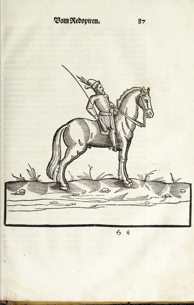 An illustration from Künstlicher Bericht vnd allerzierlichste Beschreybung des edlen, vhesten, vnnd hochberümbten Ehrn Friderici Grisonis Neapolitanischen hochlöblichen Adels : wie die streitbarn Pferdt (durch welche ritterliche Tugendten mehrers thails geübet) zum Ernst vnd ritterlicher Kurtzweil geschickt vnd volkommen zumachen .., 1573, leaf 109