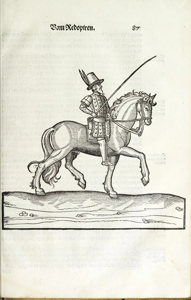 An illustration from Künstlicher Bericht vnd allerzierlichste Beschreybung des edlen, vhesten, vnnd hochberümbten Ehrn Friderici Grisonis Neapolitanischen hochlöblichen Adels : wie die streitbarn Pferdt (durch welche ritterliche Tugendten mehrers thails geübet) zum Ernst vnd ritterlicher Kurtzweil geschickt vnd volkommen zumachen .., 1573, leaf 117
