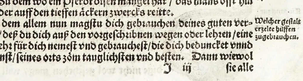 An illustration from Künstlicher Bericht vnd allerzierlichste Beschreybung des edlen, vhesten, vnnd hochberümbten Ehrn Friderici Grisonis Neapolitanischen hochlöblichen Adels : wie die streitbarn Pferdt (durch welche ritterliche Tugendten mehrers thails geübet) zum Ernst vnd ritterlicher Kurtzweil geschickt vnd volkommen zumachen .., 1573, leaf 123
