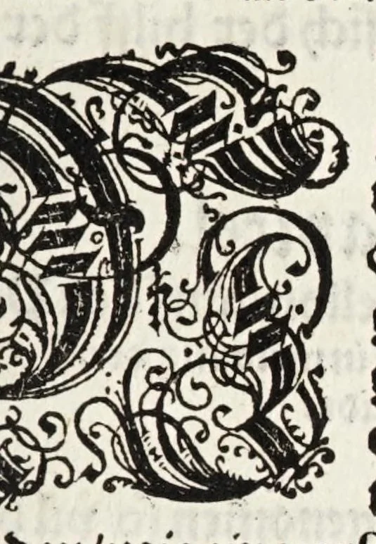 An illustration from Künstlicher Bericht vnd allerzierlichste Beschreybung des edlen, vhesten, vnnd hochberümbten Ehrn Friderici Grisonis Neapolitanischen hochlöblichen Adels : wie die streitbarn Pferdt (durch welche ritterliche Tugendten mehrers thails geübet) zum Ernst vnd ritterlicher Kurtzweil geschickt vnd volkommen zumachen .., 1573, leaf 137