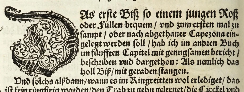 An illustration from Künstlicher Bericht vnd allerzierlichste Beschreybung des edlen, vhesten, vnnd hochberümbten Ehrn Friderici Grisonis Neapolitanischen hochlöblichen Adels : wie die streitbarn Pferdt (durch welche ritterliche Tugendten mehrers thails geübet) zum Ernst vnd ritterlicher Kurtzweil geschickt vnd volkommen zumachen .., 1573, leaf 146
