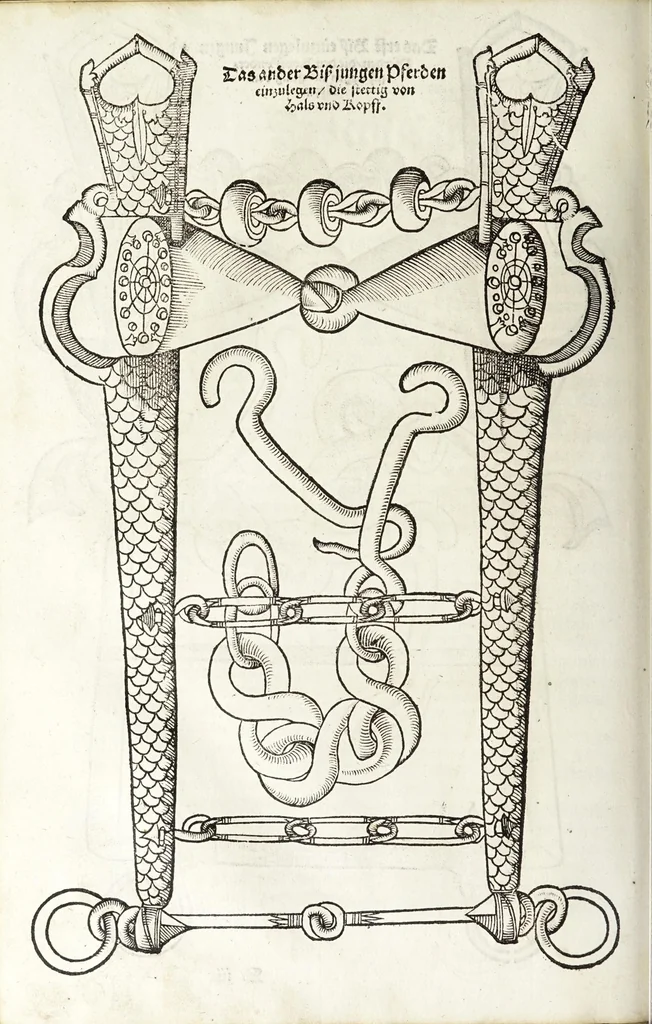 An illustration from Künstlicher Bericht vnd allerzierlichste Beschreybung des edlen, vhesten, vnnd hochberümbten Ehrn Friderici Grisonis Neapolitanischen hochlöblichen Adels : wie die streitbarn Pferdt (durch welche ritterliche Tugendten mehrers thails geübet) zum Ernst vnd ritterlicher Kurtzweil geschickt vnd volkommen zumachen .., 1573, leaf 148