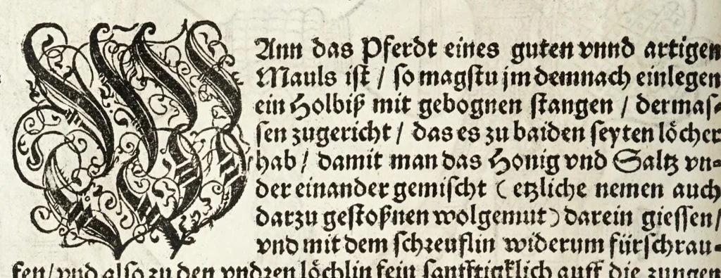 An illustration from Künstlicher Bericht vnd allerzierlichste Beschreybung des edlen, vhesten, vnnd hochberümbten Ehrn Friderici Grisonis Neapolitanischen hochlöblichen Adels : wie die streitbarn Pferdt (durch welche ritterliche Tugendten mehrers thails geübet) zum Ernst vnd ritterlicher Kurtzweil geschickt vnd volkommen zumachen .., 1573, leaf 150
