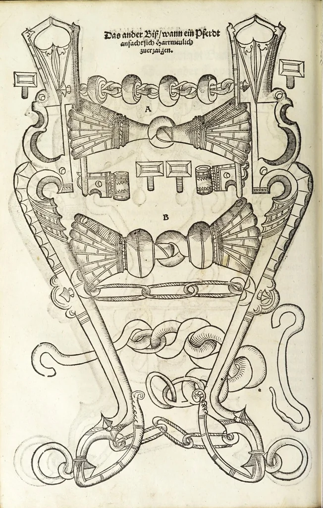 An illustration from Künstlicher Bericht vnd allerzierlichste Beschreybung des edlen, vhesten, vnnd hochberümbten Ehrn Friderici Grisonis Neapolitanischen hochlöblichen Adels : wie die streitbarn Pferdt (durch welche ritterliche Tugendten mehrers thails geübet) zum Ernst vnd ritterlicher Kurtzweil geschickt vnd volkommen zumachen .., 1573, leaf 152