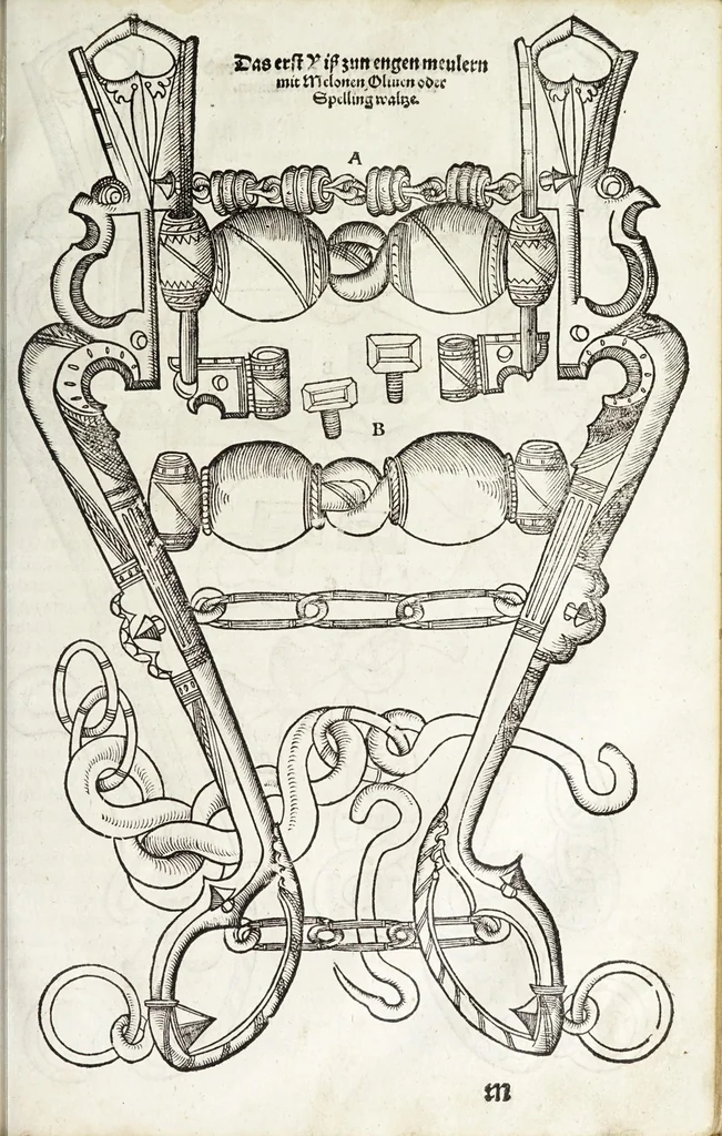 An illustration from Künstlicher Bericht vnd allerzierlichste Beschreybung des edlen, vhesten, vnnd hochberümbten Ehrn Friderici Grisonis Neapolitanischen hochlöblichen Adels : wie die streitbarn Pferdt (durch welche ritterliche Tugendten mehrers thails geübet) zum Ernst vnd ritterlicher Kurtzweil geschickt vnd volkommen zumachen .., 1573, leaf 155