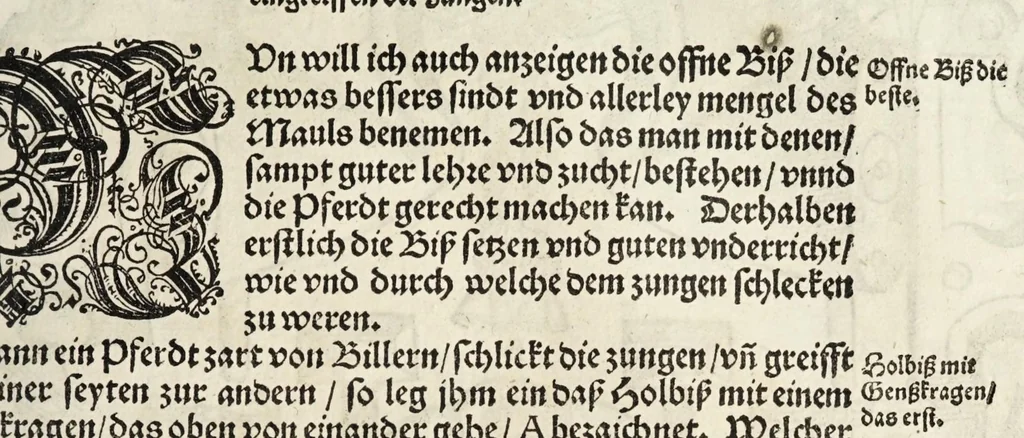 An illustration from Künstlicher Bericht vnd allerzierlichste Beschreybung des edlen, vhesten, vnnd hochberümbten Ehrn Friderici Grisonis Neapolitanischen hochlöblichen Adels : wie die streitbarn Pferdt (durch welche ritterliche Tugendten mehrers thails geübet) zum Ernst vnd ritterlicher Kurtzweil geschickt vnd volkommen zumachen .., 1573, leaf 157