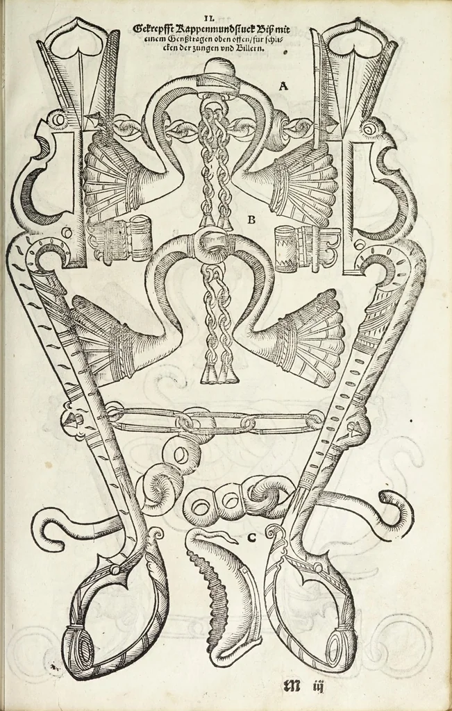 An illustration from Künstlicher Bericht vnd allerzierlichste Beschreybung des edlen, vhesten, vnnd hochberümbten Ehrn Friderici Grisonis Neapolitanischen hochlöblichen Adels : wie die streitbarn Pferdt (durch welche ritterliche Tugendten mehrers thails geübet) zum Ernst vnd ritterlicher Kurtzweil geschickt vnd volkommen zumachen .., 1573, leaf 159