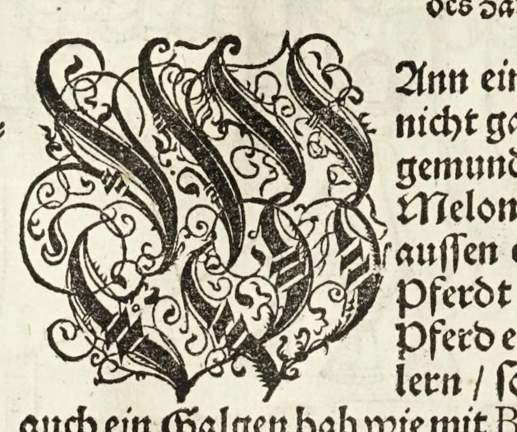 An illustration from Künstlicher Bericht vnd allerzierlichste Beschreybung des edlen, vhesten, vnnd hochberümbten Ehrn Friderici Grisonis Neapolitanischen hochlöblichen Adels : wie die streitbarn Pferdt (durch welche ritterliche Tugendten mehrers thails geübet) zum Ernst vnd ritterlicher Kurtzweil geschickt vnd volkommen zumachen .., 1573, leaf 162