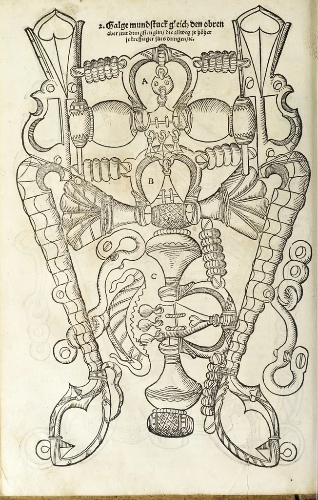 An illustration from Künstlicher Bericht vnd allerzierlichste Beschreybung des edlen, vhesten, vnnd hochberümbten Ehrn Friderici Grisonis Neapolitanischen hochlöblichen Adels : wie die streitbarn Pferdt (durch welche ritterliche Tugendten mehrers thails geübet) zum Ernst vnd ritterlicher Kurtzweil geschickt vnd volkommen zumachen .., 1573, leaf 164