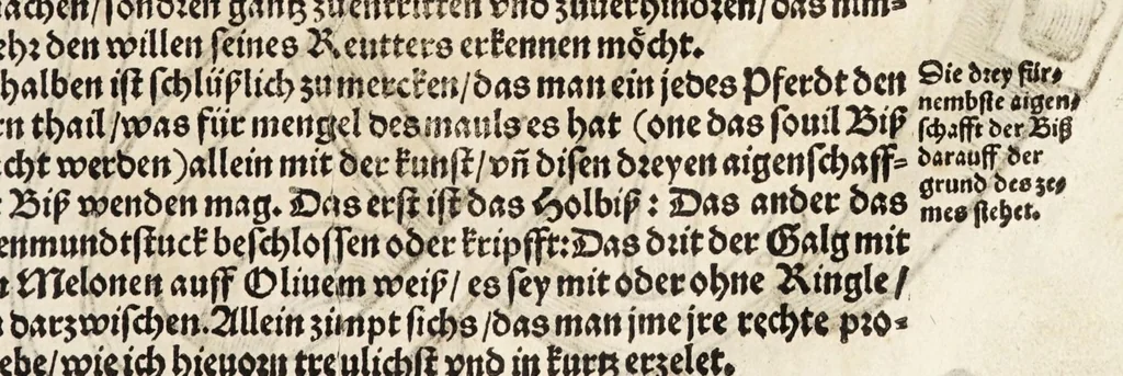 An illustration from Künstlicher Bericht vnd allerzierlichste Beschreybung des edlen, vhesten, vnnd hochberümbten Ehrn Friderici Grisonis Neapolitanischen hochlöblichen Adels : wie die streitbarn Pferdt (durch welche ritterliche Tugendten mehrers thails geübet) zum Ernst vnd ritterlicher Kurtzweil geschickt vnd volkommen zumachen .., 1573, leaf 169