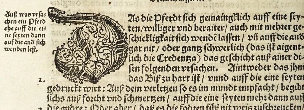 An illustration from Künstlicher Bericht vnd allerzierlichste Beschreybung des edlen, vhesten, vnnd hochberümbten Ehrn Friderici Grisonis Neapolitanischen hochlöblichen Adels : wie die streitbarn Pferdt (durch welche ritterliche Tugendten mehrers thails geübet) zum Ernst vnd ritterlicher Kurtzweil geschickt vnd volkommen zumachen .., 1573, leaf 186