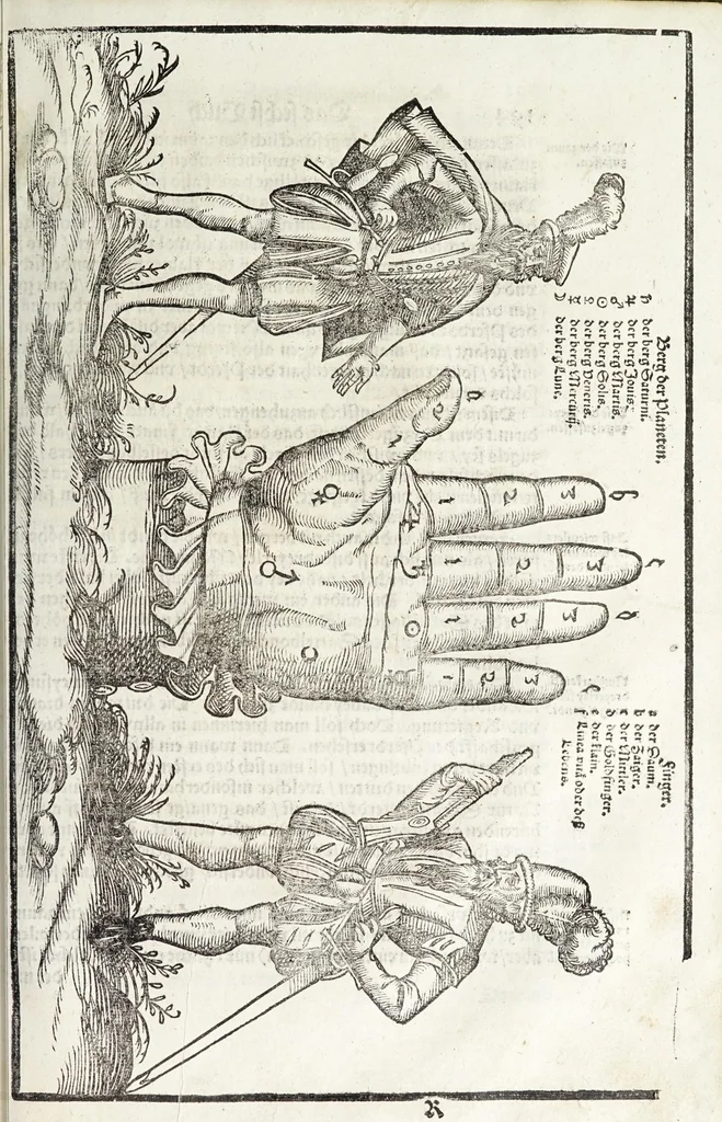 An illustration from Künstlicher Bericht vnd allerzierlichste Beschreybung des edlen, vhesten, vnnd hochberümbten Ehrn Friderici Grisonis Neapolitanischen hochlöblichen Adels : wie die streitbarn Pferdt (durch welche ritterliche Tugendten mehrers thails geübet) zum Ernst vnd ritterlicher Kurtzweil geschickt vnd volkommen zumachen .., 1573, leaf 215