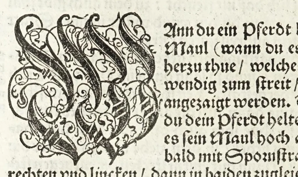An illustration from Künstlicher Bericht vnd allerzierlichste Beschreybung des edlen, vhesten, vnnd hochberümbten Ehrn Friderici Grisonis Neapolitanischen hochlöblichen Adels : wie die streitbarn Pferdt (durch welche ritterliche Tugendten mehrers thails geübet) zum Ernst vnd ritterlicher Kurtzweil geschickt vnd volkommen zumachen .., 1573, leaf 226