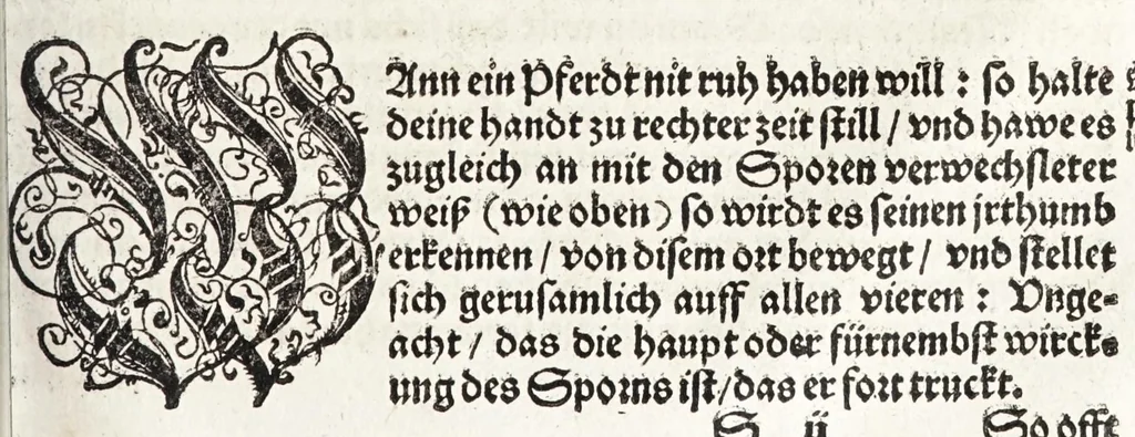 An illustration from Künstlicher Bericht vnd allerzierlichste Beschreybung des edlen, vhesten, vnnd hochberümbten Ehrn Friderici Grisonis Neapolitanischen hochlöblichen Adels : wie die streitbarn Pferdt (durch welche ritterliche Tugendten mehrers thails geübet) zum Ernst vnd ritterlicher Kurtzweil geschickt vnd volkommen zumachen .., 1573, leaf 229