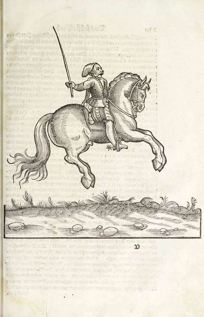 An illustration from Künstlicher Bericht vnd allerzierlichste Beschreybung des edlen, vhesten, vnnd hochberümbten Ehrn Friderici Grisonis Neapolitanischen hochlöblichen Adels : wie die streitbarn Pferdt (durch welche ritterliche Tugendten mehrers thails geübet) zum Ernst vnd ritterlicher Kurtzweil geschickt vnd volkommen zumachen .., 1573, leaf 251