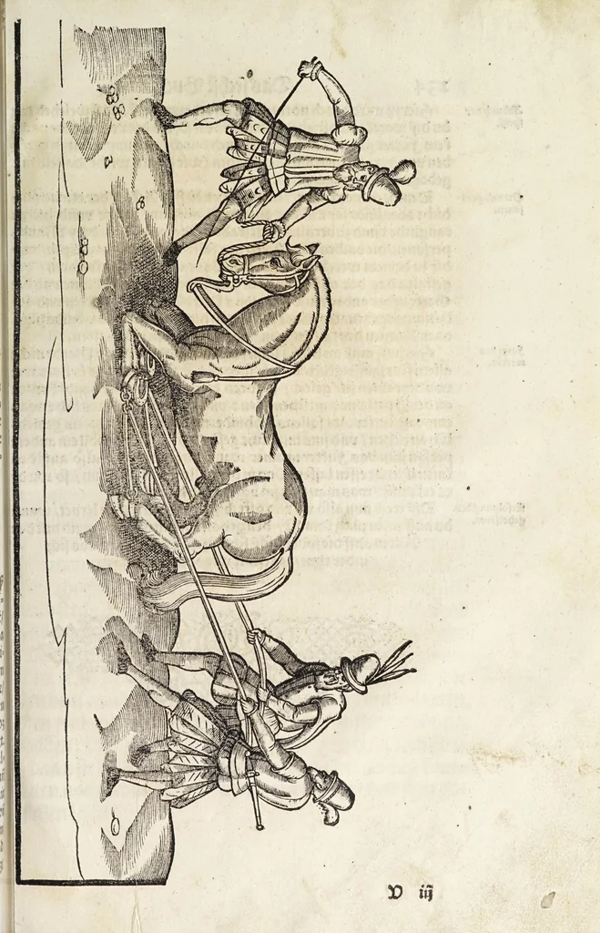 An illustration from Künstlicher Bericht vnd allerzierlichste Beschreybung des edlen, vhesten, vnnd hochberümbten Ehrn Friderici Grisonis Neapolitanischen hochlöblichen Adels : wie die streitbarn Pferdt (durch welche ritterliche Tugendten mehrers thails geübet) zum Ernst vnd ritterlicher Kurtzweil geschickt vnd volkommen zumachen .., 1573, leaf 255