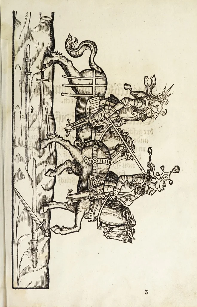 An illustration from Künstlicher Bericht vnd allerzierlichste Beschreybung des edlen, vhesten, vnnd hochberümbten Ehrn Friderici Grisonis Neapolitanischen hochlöblichen Adels : wie die streitbarn Pferdt (durch welche ritterliche Tugendten mehrers thails geübet) zum Ernst vnd ritterlicher Kurtzweil geschickt vnd volkommen zumachen .., 1573, leaf 287